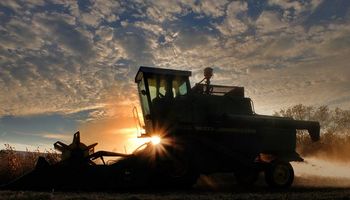 Sexta suba consecutiva para la soja, a la espera de datos del USDA