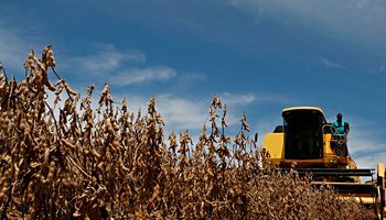 La soja trepó más de US$ 14 por los malos rindes de la cosecha en Sudamérica