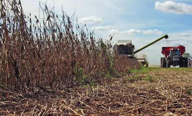 "Signo de previsibilidad y confianza", destacaron desde Agroindustria.