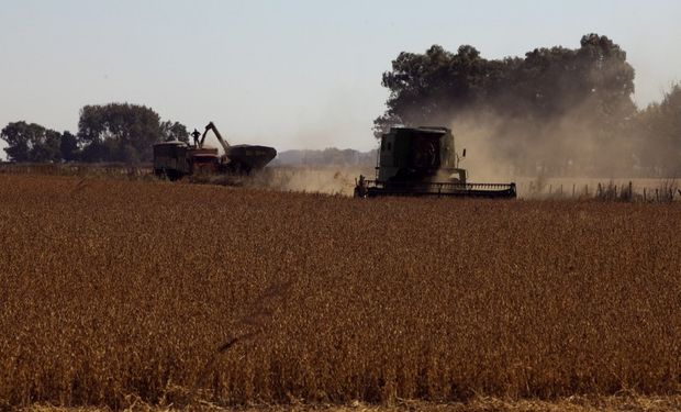 Venta de granos: difunden recomendaciones a productores para evitar descuentos de exportadores