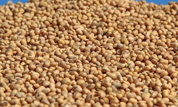 Buscan transparentar el mercado luego de que Monsanto comenzó a revisar cargamentos de soja en busca de semillas cuyo canon no hubiera sido pagado.