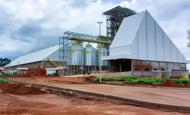 Comigo planeja usina de biodiesel em Goiás