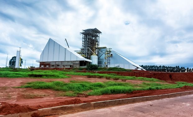 Este ano já foi inaugurado um armazém para soja e milho, no município de Mineiros. (Foto - Divulgação)