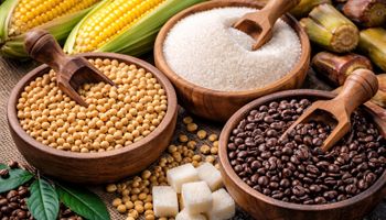 Commodities entram em 2026 sob pressão de clima, política e guerra comercial