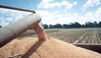Márgenes ajustados en el agro para 2026: el informe que anticipa un año desafiante para las commodities