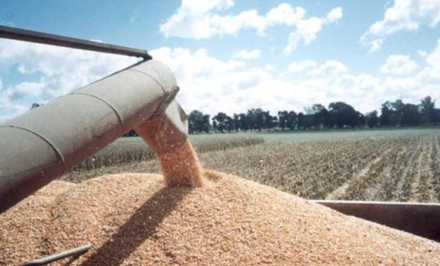 Márgenes ajustados en el agro para 2026: el informe que anticipa un año desafiante para las commodities