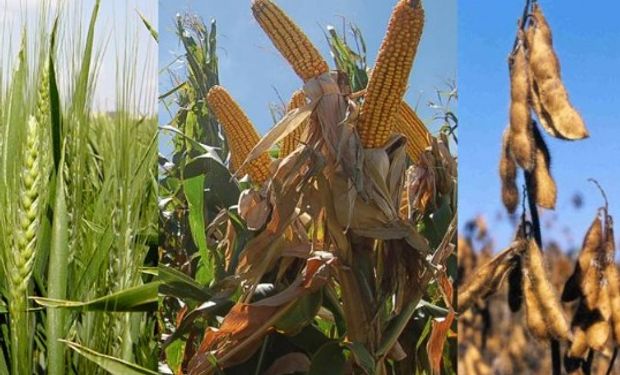 Fondos se volcaron a los commodities en general.