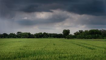 Alerta por lluvias intensas: ¿Hay riesgo de excesos hídricos?