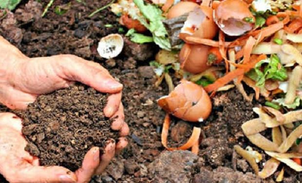 Qué es el compost y cómo hacerlo casero: la técnica para potenciar la huerta en casa