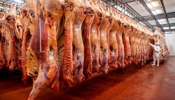 Cómo puede afectar el conflicto entre Rusia y Ucrania al mercado de carnes