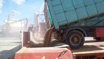Complejo cerealero incrementa sus exportaciones
