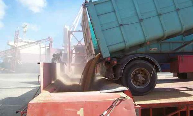 Envíos de cereales al exterior se potenciaron en el primer semestre.