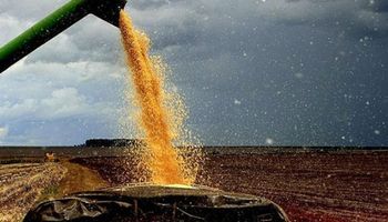 Alertan que las condiciones climáticas podrían afectar a la cosecha