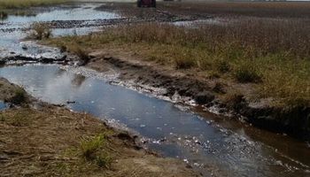 ¿Otra cosecha complicada por lluvias?
