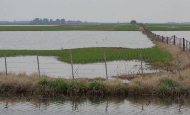 Informe de Inundaciones de la Bolsa de Cereales y Productos de Bahía Blanca.