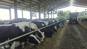 Crisis de los tamberos: el Gobierno comprará sobre stocks de leche