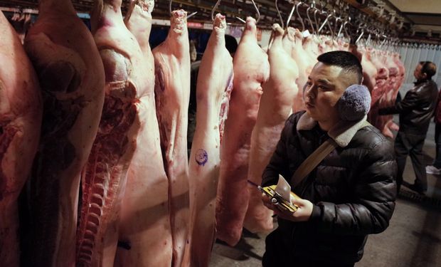 China compró un 17% menos de carne en junio, pero volvió a aumentar la importación de soja