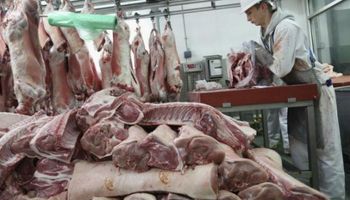 China adquirió 10 veces más carne deshuesada