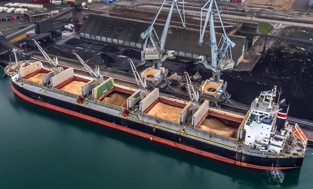 Chicago: subas para la soja en el comienzo de la semana