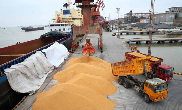 Se disparan las compras de soja, trigo y maíz de China, pero persiste el temor por brotes de peste porcina africana