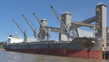 China compró al menos 10 cargamentos de soja argentina tras la baja de retenciones: ¿Qué problema tiene el gigante asiático con la soja brasilera?