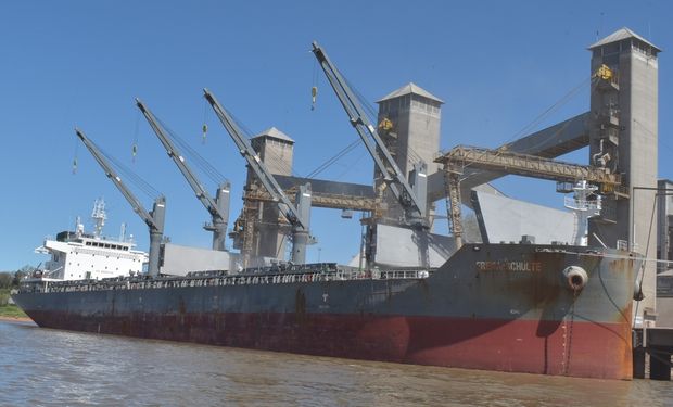 China compró al menos 10 cargamentos de soja argentina tras la baja de retenciones: ¿Qué problema tiene el gigante asiático con la soja brasilera?