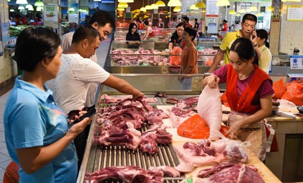 Se espera que este año China recupere a todos sus cerdos y que la importación de soja sea récord