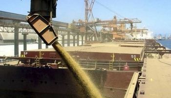 Demanda de soja en Estados Unidos se encuentra retraída