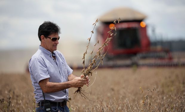Asociaciones Rurales del Mercosur critican la decisión del Gobierno argentino
