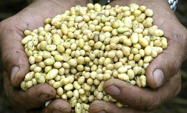 CRA pide que "Monsanto cese el muestro y análisis ilegal no homologado ni autorizado por el Ministerio de Agroindustria".