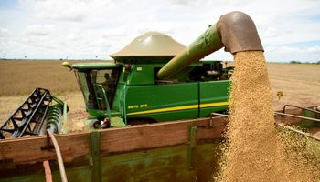 Conab projeta 353,4 milhões de toneladas e mantém recorde na safra 2025/26