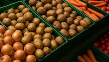 Com boa oferta, frutas e hortaliças registram recuo de preços em junho: confira os principais