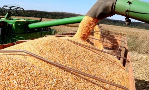 Avanço da soja é puxado pelo aumento de área e pela recuperação de produtividade no Rio Grande do Sul.