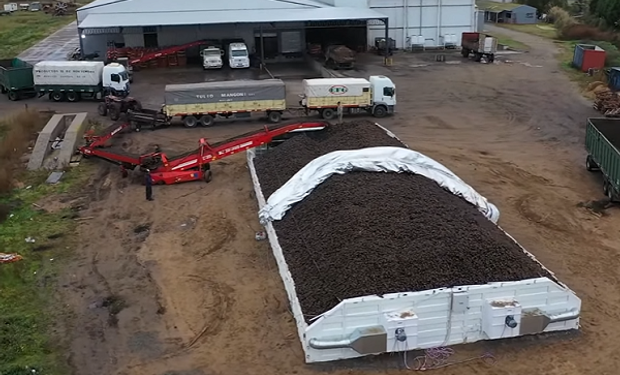 Con turbinas y capacidad de hasta 400 toneladas: el nuevo concepto de silo que busca un lugar en el campo