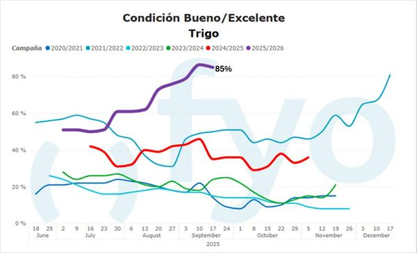 trigo condicion
