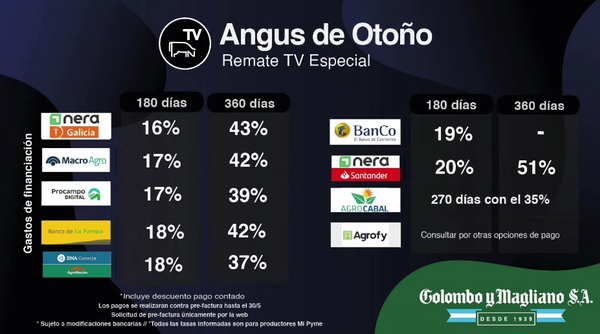 condiciones comerciales angus