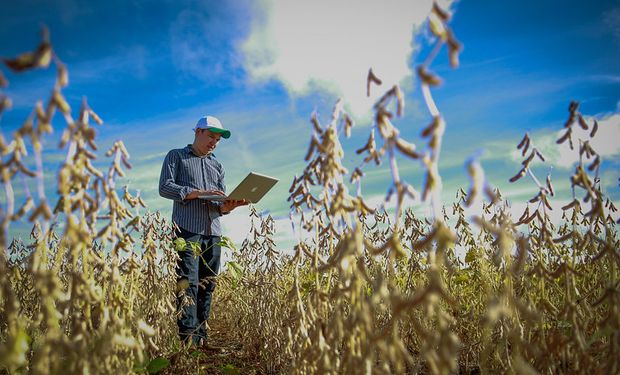 Son especialistas en sistemas, crearon una aplicación accesible para el agro y no paran de crecer: "El desafío es llegar a todos los productores"