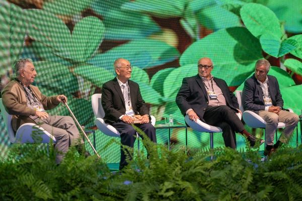 cultivo soja argentina