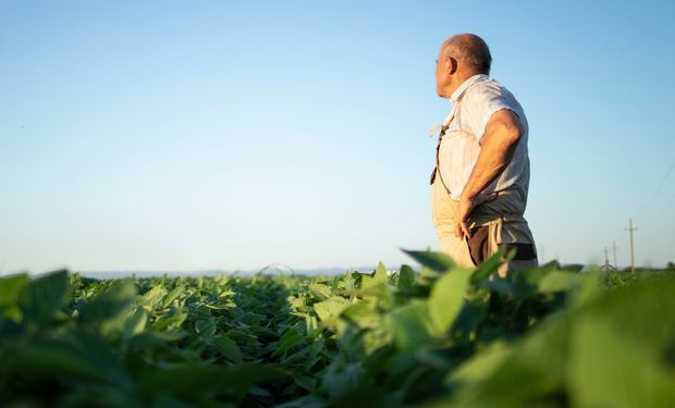 Indicador de insumos agropecuários, na contramão, registrou alta no período. (Foto: Freepik).