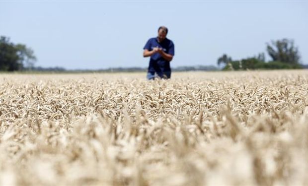 Un índice elaborado por el INTA refleja el optimismo de los productores por la marcha de la economía.