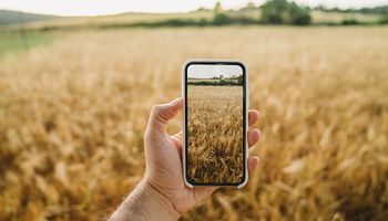 Innovación clave: ya se pueden firmar contratos de granos desde el celular