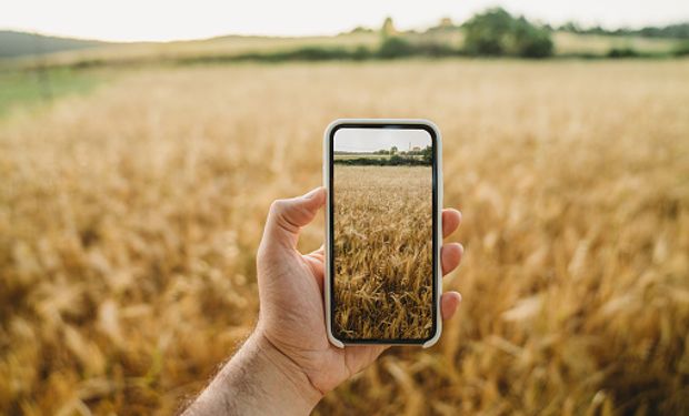 Innovación clave: ya se pueden firmar contratos de granos desde el celular