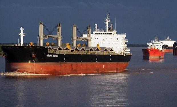 Buques varados en el río Paraná, frente a las terminales portuarias del Gran Rosario. Foto: Marcelo Manera.