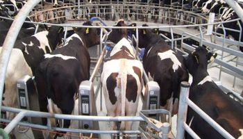 Portazo en Agroindustria: entidades abandonaron una reunión sobre lechería