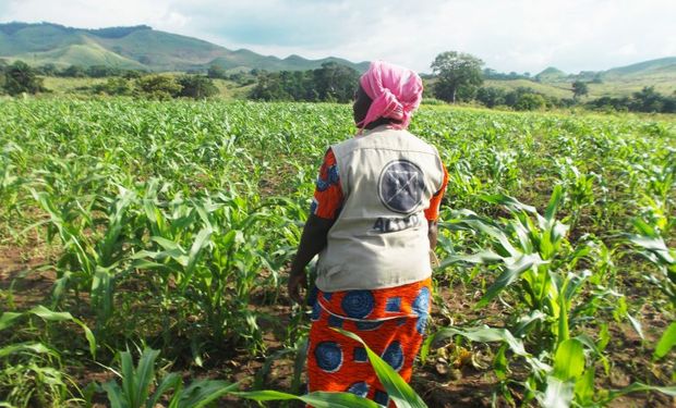 Con maquinaria agrícola y conocimiento, Argentina ayudará al Congo a lograr el autoabastecimiento de alimentos