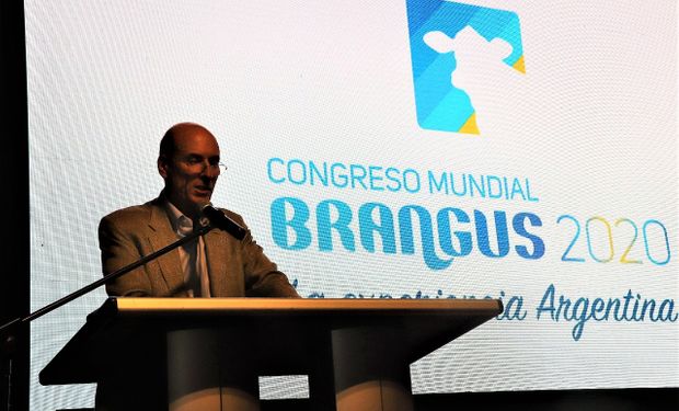El lunes 2 de diciembre, la Asociación Argentina de Brangus y Expoagro realizaron el lanzamiento oficial del Mundial Brangus.