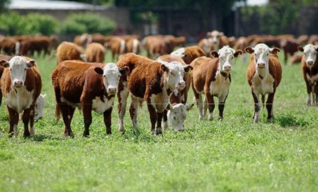 Organizado por la Sociedad Rural de Rosario y con la gran participación de su Ateneo de Jóvenes.