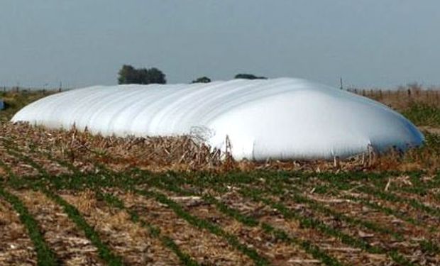 Entre el 13 y el 16 de octubre se desarrollara el Primer Congreso Internacional de Silo Bolsa