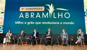 Avanço do sorgo marca tendência no agro e projeta novo ciclo para etanol e ração
