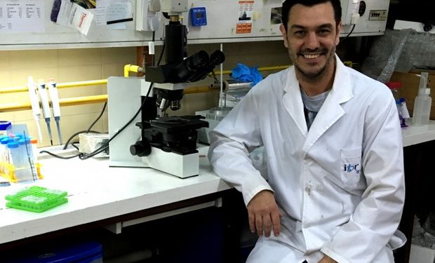 El zinc podría mejorar la calidad de los espermatozoides de los cerdos